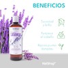 NATSHOP | Kit 3 Shampoos Naturales de Lavanda y Vitamina