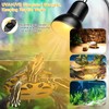 CarPlusStudio Tortoise Heat Lamp - Basking Lamp for Tortoise, Reptile