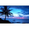 Painting Wallpaper Poster (Removable Self-stick) Hawaii Oahu Island Dawn Afterglow
