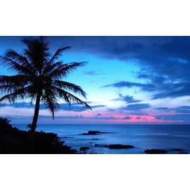 Painting Wallpaper Poster (Removable Self-stick) Hawaii Oahu Island Dawn Afterglow Palm Trees, Ocean, Character Black HWI – 037 W2 (Wide Version 603 mm × 376 mm) For Architectural Wallpaper + Weather Resistant Paint