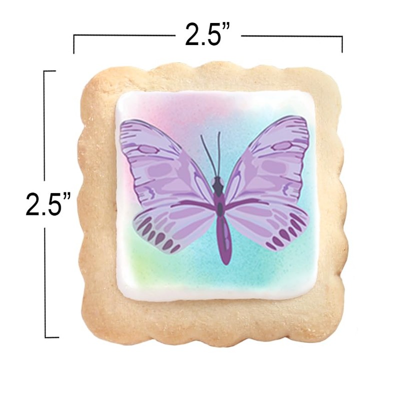 Butterfly Cookies 24 Pack Party Favors Basket Stuffers Decorated |