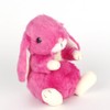 Stuffed Animals (Rabbit Rabbit), Rabbits and Hares Small Fuchsia