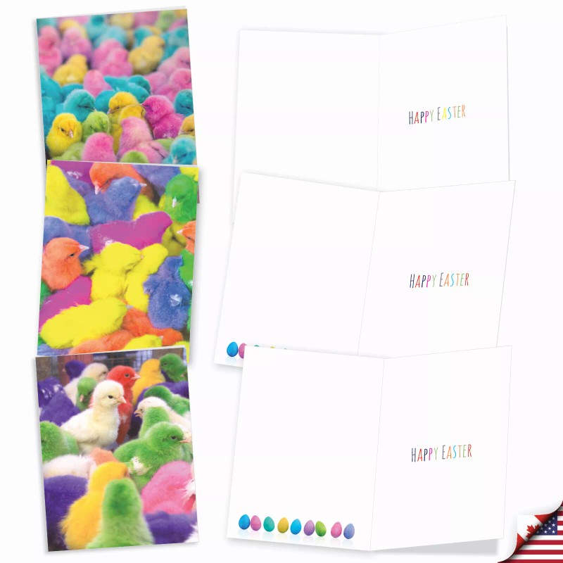 Nobleworks Colorful Chicks Easter 20 Mini Notes w/ Envelopes