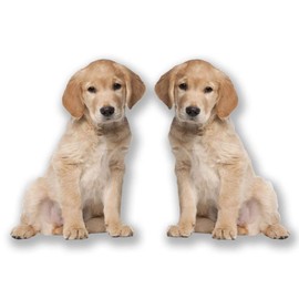 Labrador Metal Stainless Steel Bottle Wine Stopper