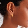 Gacimy Gold Huggie Hoop Earrings for Women 14k Gold Plated,
