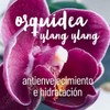 OLEUM VITAE Gel de Ducha con Aceite Esencial de Ylang