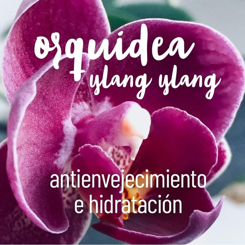 OLEUM VITAE Gel de Ducha con Aceite Esencial de Ylang
