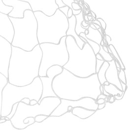 skycabin 1.5x10m Plant Support Netting for Climbing Plants with Nylon Trellis Mesh, Snow Pea and Bean Netting for Cucumber,Tomato,Pumpkin,Flower,Vegetable,Fruitpassion