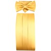 TigerTie Cummerbund Pocket Square Bow Tie in Various Colours -