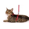 Flamingo Cat Harness with leash Ziggi Red 22-36cm 27-46cm 110cm