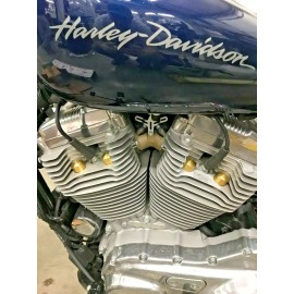 working class choppers SOLID BRASS DOMED HEAD BOLT COVERS harley cylinder HD 85  up chopper bobber 2232