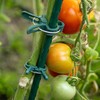 KADAX Plant Clips for Tomatoes, Cucumbers, Roses and Other Climbing