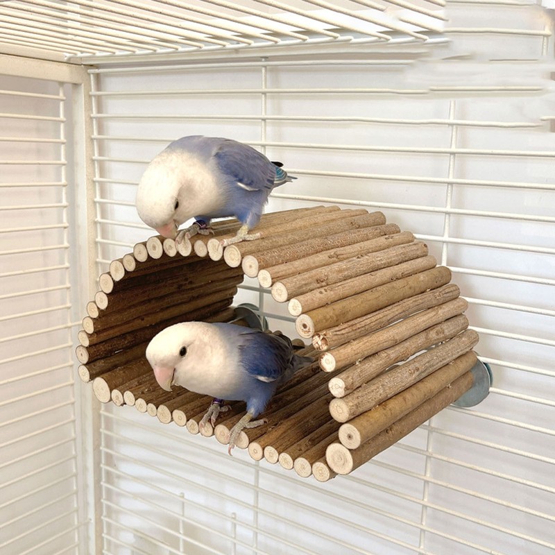 Bird Wood Hammock Tent Arch Bridge Shape Wooden Parrot Snuggle