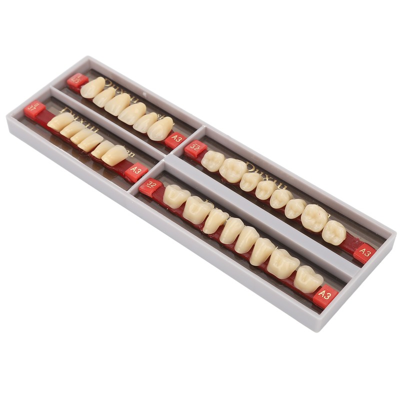 Dental Synthetic Resin Denture Tooth Professional Men Women Shade A3