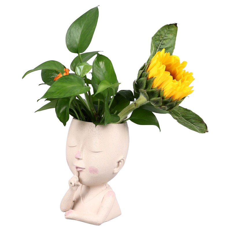 Face Flower Pot Head Planter Pot Cute Resin Succulent Planter