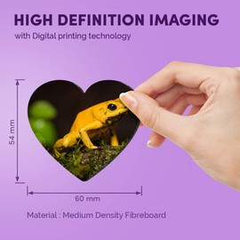 1 x Heart MDF Magnets - Golden Poison Frog Yellow Frogs 45174