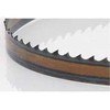 Timber Wolf Band Saw Blades, 3/8 Inch Width,The Best Wood