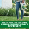 Roundup for Lawns₁ Ready-to-Use with Extend Wand, Tough Weed Killer