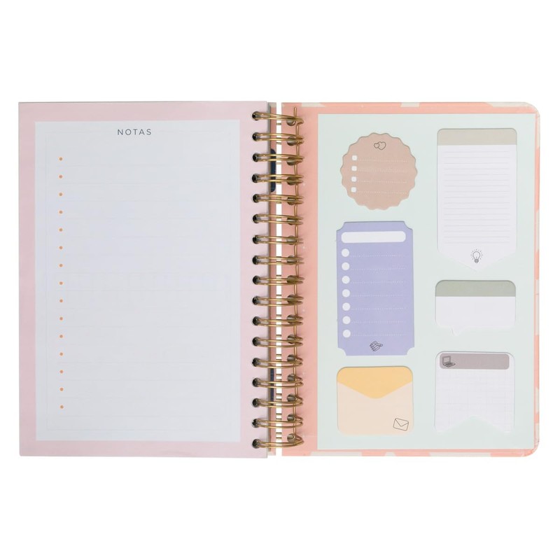 Mr.Wonderful – Office Agenda 2024-25 Daily – Every day I'm