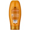 Garnier Whole Blends Illuminating Conditioner Moroccan Argan and Camellia Oils