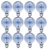 GE Lighting Reveal G25 Globe Light Bulb, 40W, 265 Lumens,