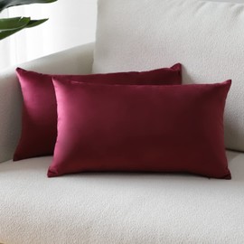 Sungeek Set of 2 Velvet Cushion Covers, Decorative Cushion Covers, Soft Cushion Cover, Decorative Cushion, Sofa Cushion, Couch Cushion, Decorative Cover for Sofa, Bedroom, Living Room (30 x 50 cm, Red