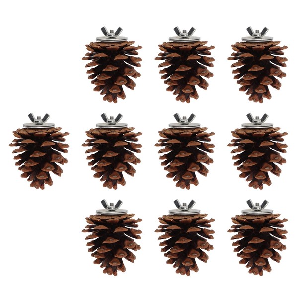 10pcs Bird Bite Pine Cones with Fixing Nuts, Pine Cone