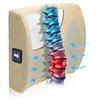 Sealy Lumbar Support Pillow