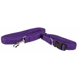Aero Mesh 2-in-1 Dual Sided Dog Leash-Colar Comfortable and Breathable Adjustable for Pet ConvenienceSize: Small, Color: Purple1