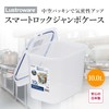Iwasaki Kogyo Lustroware SL Jumbo Case Food Storage Container 10