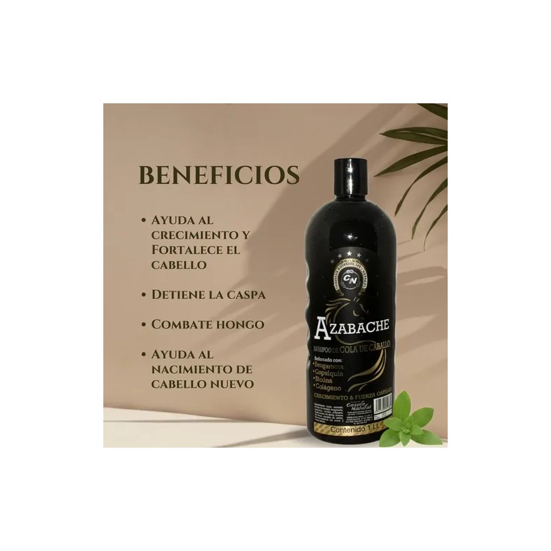 Shampoo Azabache Cola De Caballo Biotina Bergamota 2 Pack
