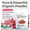 PURE CO USDA Cranberry Powder Organic Certified - Organic Cranberry