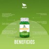 Aceite De Oregano Plus, 300 Cápsulas (3 Frascos 100 Cap