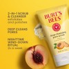 Burt's Bees Peach and Willow Bark exfoliante facial exfoliante, 4
