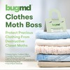BugMD BugMD Clothes Moth Boss Traps (6 Pack, Green) - Sticky Glue Bug Repellent Pheromone Attractor for Wardrobes Cabinet Drawers, Moth Balls, Traps with No Harsh Chemicals