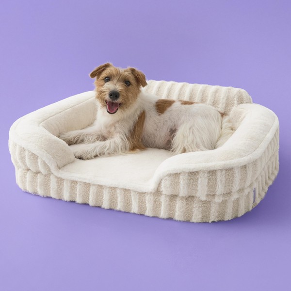LE SURE Cute Dog Bed Medium Size Dog, Orthopedic Waterproof