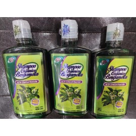 NATURAL LIFE 3 PACK ORGANIC SHAMPOO BERGAMOT NATURAL LIFE NET WT 15.2 OZ EACH MADE IN MEXICO