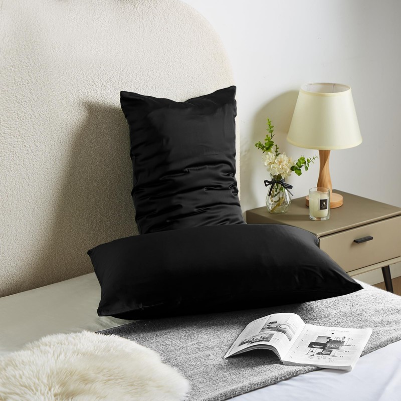 Casbrove Silk Pillow Cases 2 Pack Mulberry Silk Pillow Cases