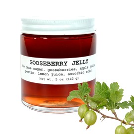 Seedless Gooseberry Jelly - 5 oz - Craft, Gourmet, Unusual Jams & Jellies Made in West Virginia by Smoke Camp Crafts