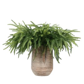 COLMOXY 12 Pcs 17.8 inchs Winter Norfolk Pine Stems,Real Touch Norfolk Pine Picks Artificial Christmas Branches DIY Crafts Faux Christmas Norfolk Pine Branches for Xmas Indoor Outdoor Home Decor