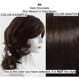 Clip On Pouf Hairpiece Color R6 DARK CHOCOLATE - Hairdo Pieces Overall 8.25" Length Tru2Life Heat Friendly Synthetic Gradient Shades of Color Perfect Blending Bundle MaxWigs Hairloss Booklet