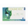 Cognexel: Colina, Omega 3 (DHA 1000 mg, EPA 142.80 mg)