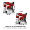 Swono Poppy Flower Set of 2 Square 18x18 Inch Throw