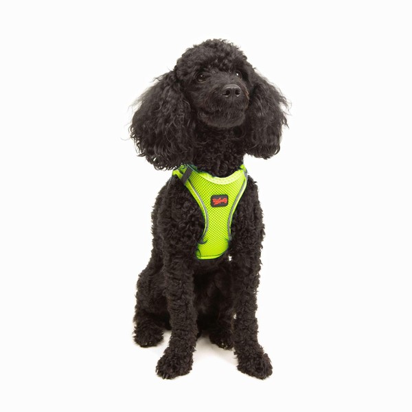 Tailpetz Extra Small Dog Harness, Adjustable Step in No Pull
