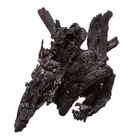 Cistanche Tonic | Rou Cong Rong Chinese Herb - Effective to Strengthening Blood Flow or Kidneys Yang - Chinese Herb 1 Lb - Plum Dragon Herbs