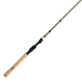 Fenwick HMG Spinning Fishing Rod