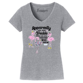 Apparently We're Trouble When We are Together Who Knew Flamingo Graphic Women V Neck T-Shirt