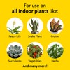 Miracle-Gro Indoor Plant Food, Liquid Plant Food for Houseplants, Snake