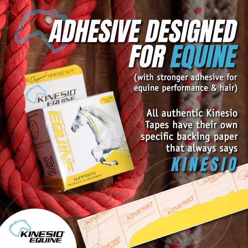 Kinesio Equine Tape - Tex Gold FP Horse Tape -Tape