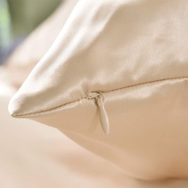 THXSILK 25 momme Silk Pillowcase for Hair and Skin, Mulberry Silk Pillowcase, Hypoallergenic with Hidden Zip, Pure Silk on Both Sides (Champagne, 80 x 80 cm)